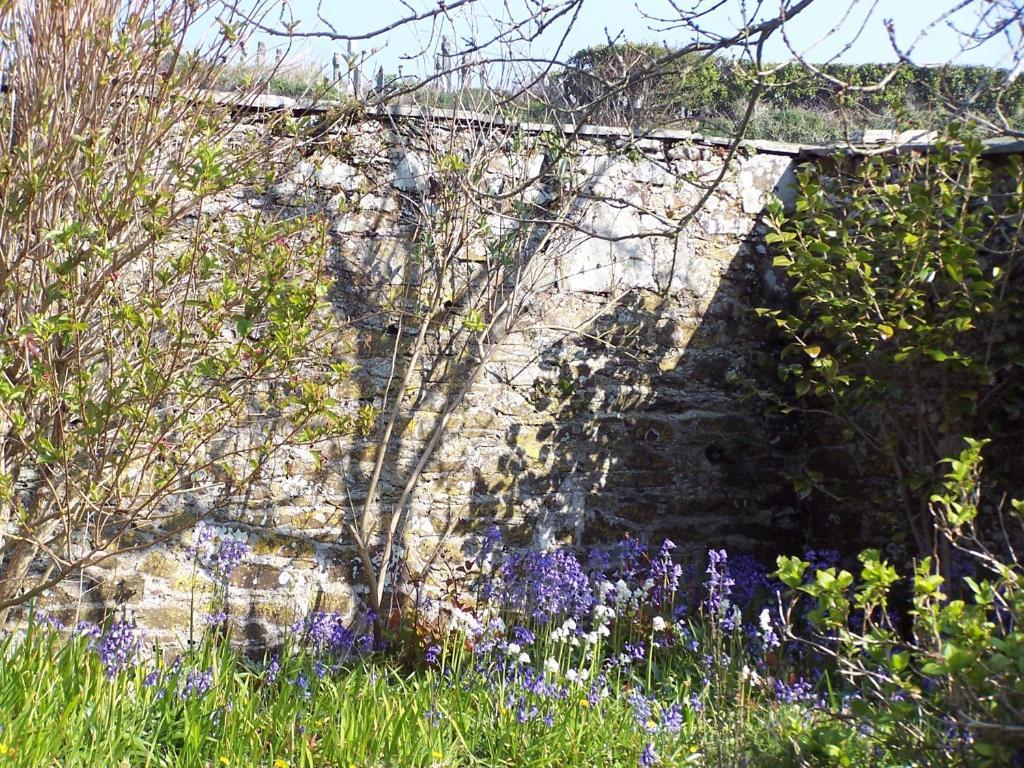 The Old Parsonage Bed & Breakfast Boscastle Luaran gambar