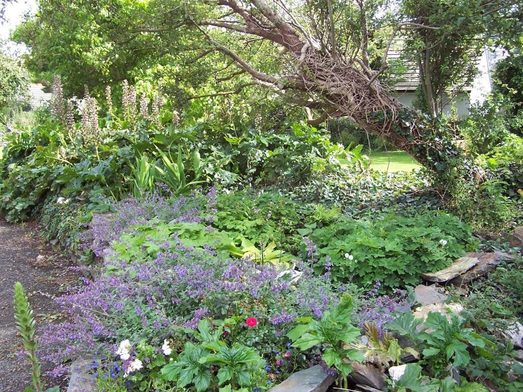 The Old Parsonage Bed & Breakfast Boscastle Luaran gambar