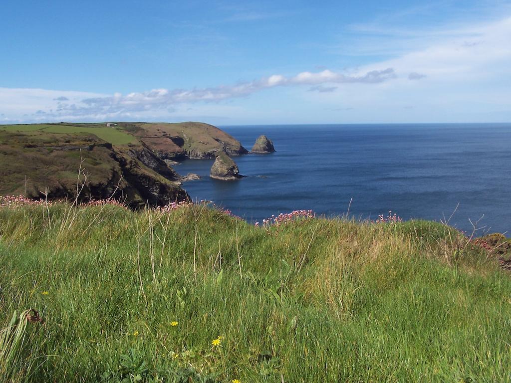 The Old Parsonage Bed & Breakfast Boscastle Luaran gambar