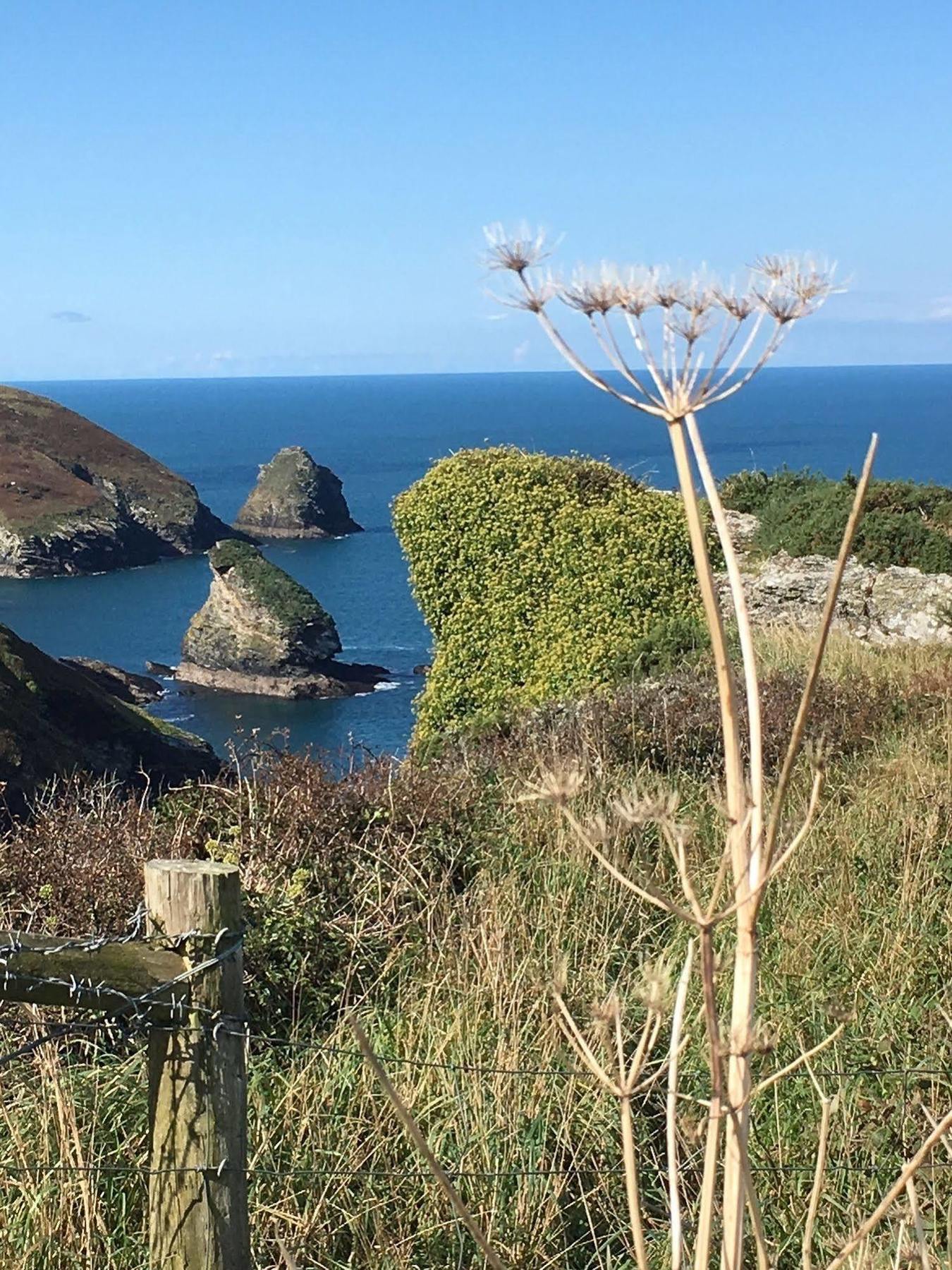 The Old Parsonage Bed & Breakfast Boscastle Luaran gambar